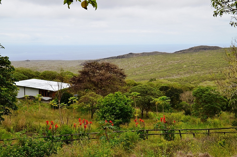 730_Ecuador_Galapagos_Island_Floreana.JPG