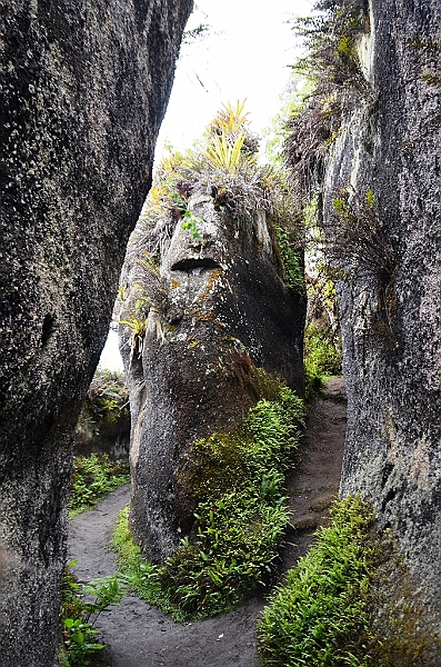 731_Ecuador_Galapagos_Island_Floreana.JPG