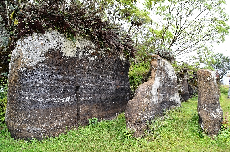 733_Ecuador_Galapagos_Island_Floreana.JPG