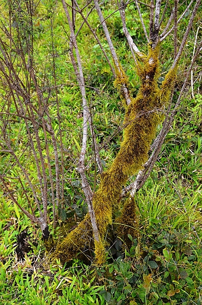 735_Ecuador_Galapagos_Island_Floreana.JPG