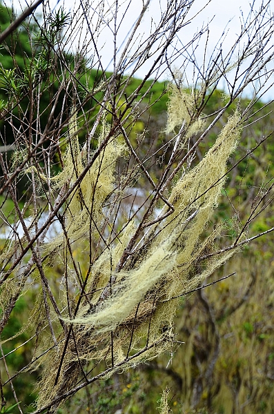 738_Ecuador_Galapagos_Island_Floreana.JPG
