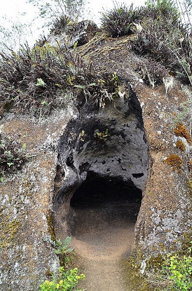 742_Ecuador_Galapagos_Island_Floreana.JPG
