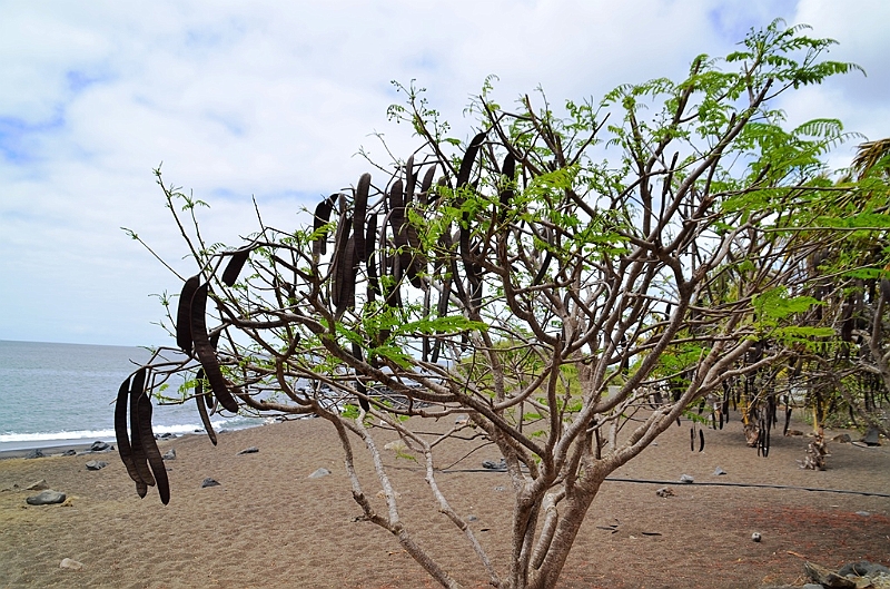 758_Ecuador_Galapagos_Island_Floreana.JPG