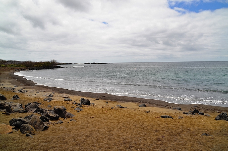 763_Ecuador_Galapagos_Island_Floreana.JPG