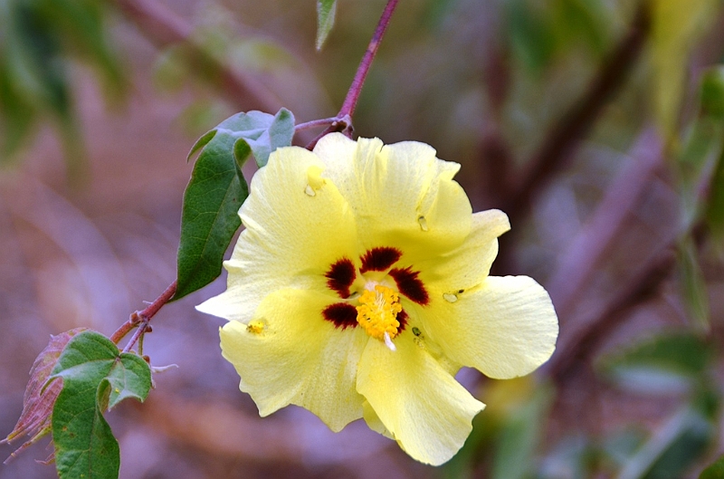 766_Ecuador_Galapagos_Island_Floreana.JPG