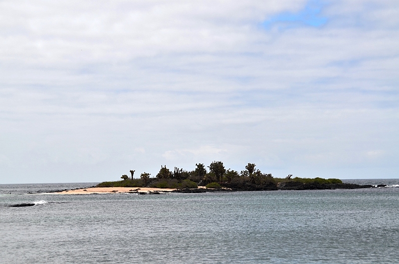 770_Ecuador_Galapagos_Island_Floreana.JPG
