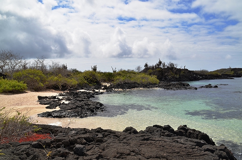 775_Ecuador_Galapagos_Island_Floreana.JPG