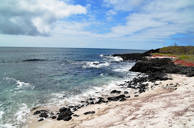 779_Ecuador_Galapagos_Island_Floreana.JPG