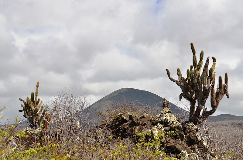 783_Ecuador_Galapagos_Island_Floreana.JPG