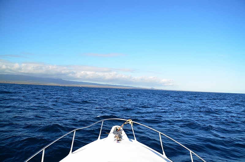 796_Ecuador_Galapagos_Island_Floreana_Boot_Tour.JPG