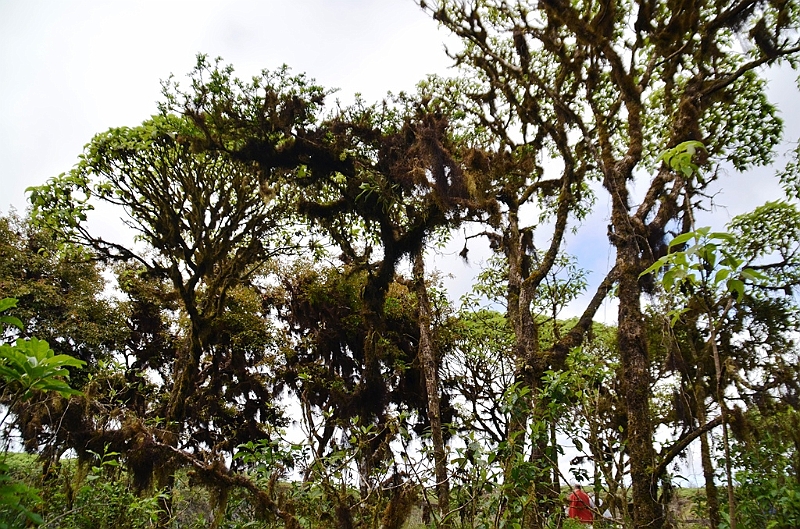 803_Ecuador_Galapagos_Santa_Cruz_Los_Gemelos.JPG