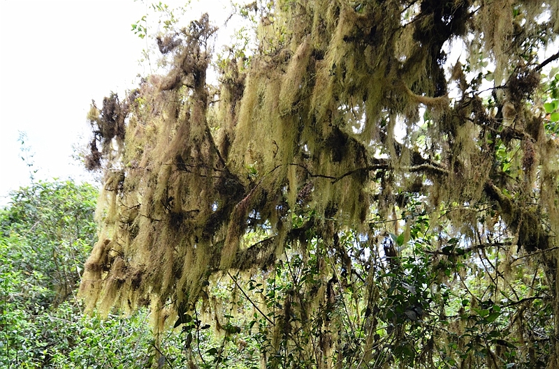 806_Ecuador_Galapagos_Santa_Cruz_Los_Gemelos.JPG