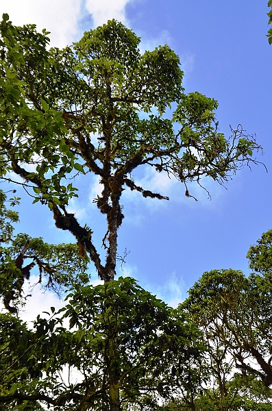 808_Ecuador_Galapagos_Santa_Cruz_Los_Gemelos.JPG