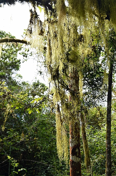 809_Ecuador_Galapagos_Santa_Cruz_Los_Gemelos.JPG