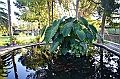 116_Ecuador_Hacienda_Chorlavi