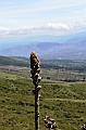131_Ecuador_Cotocachi_Laguna_de_Cuicocha