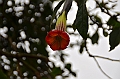 160_Ecuador_Papallacta