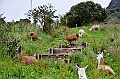 164_Ecuador_Papallacta