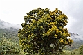 170_Ecuador_Papallacta
