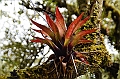 173_Ecuador_Papallacta