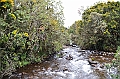 174_Ecuador_Papallacta