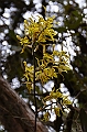 178_Ecuador_Papallacta