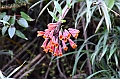 180_Ecuador_Papallacta