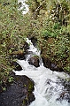 181_Ecuador_Papallacta