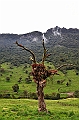 182_Ecuador_Papallacta