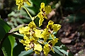 190_Ecuador