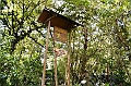 191_Ecuador_Guango_Lodge