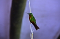 192_Ecuador_Guango_Lodge