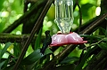 193_Ecuador_Guango_Lodge