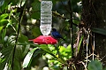 195_Ecuador_Guango_Lodge