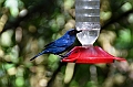 198_Ecuador_Guango_Lodge