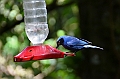 199_Ecuador_Guango_Lodge