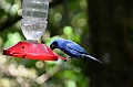 201_Ecuador_Guango_Lodge
