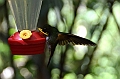 202_Ecuador_Guango_Lodge