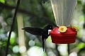 204_Ecuador_Guango_Lodge