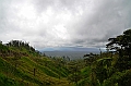 210_Ecuador
