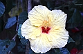 211_Ecuador