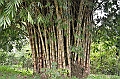 212_Ecuador