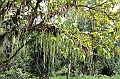 213_Ecuador