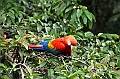 214_Ecuador_Amazonas_Aera