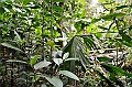 216_Ecuador_Amazonas_Aera