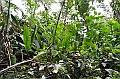 218_Ecuador_Amazonas_Aera