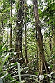 221_Ecuador_Amazonas_Aera