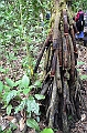 223_Ecuador_Amazonas_Aera