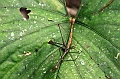 224_Ecuador_Amazonas_Aera