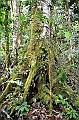 225_Ecuador_Amazonas_Aera